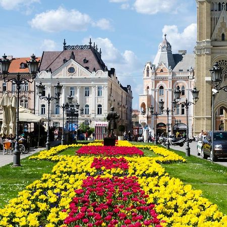 ! Promo! Central Evergreen Studio - Free Public Parking-Fast Wi-Fi Novi Sad Eksteriør billede